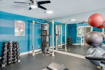 Weight Equipment in the Fitness Center